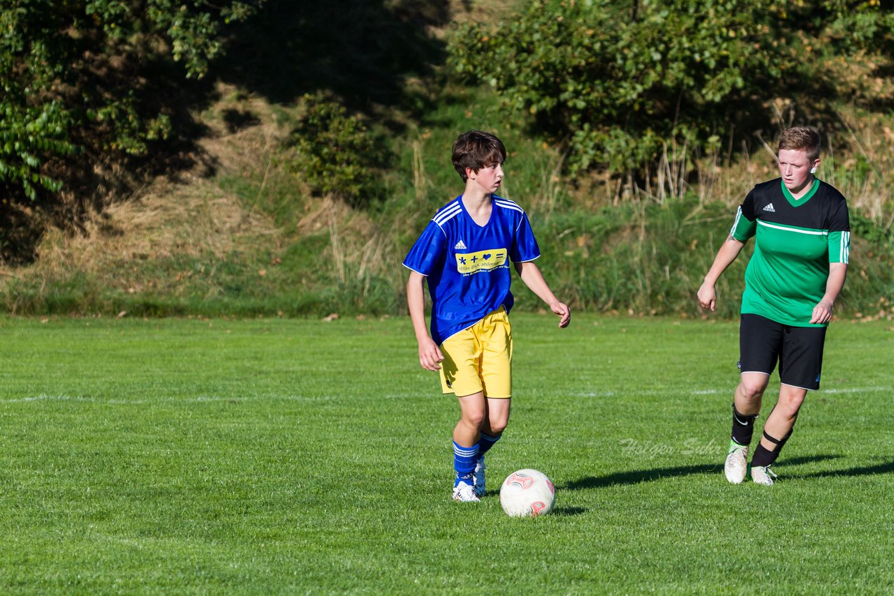 Bild 285 - Frauen TSV Gnutz - TuS Heidmhlen : Ergebnis: 2:2